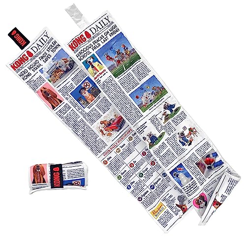 KONG DAILY NEWSPAPER XL 