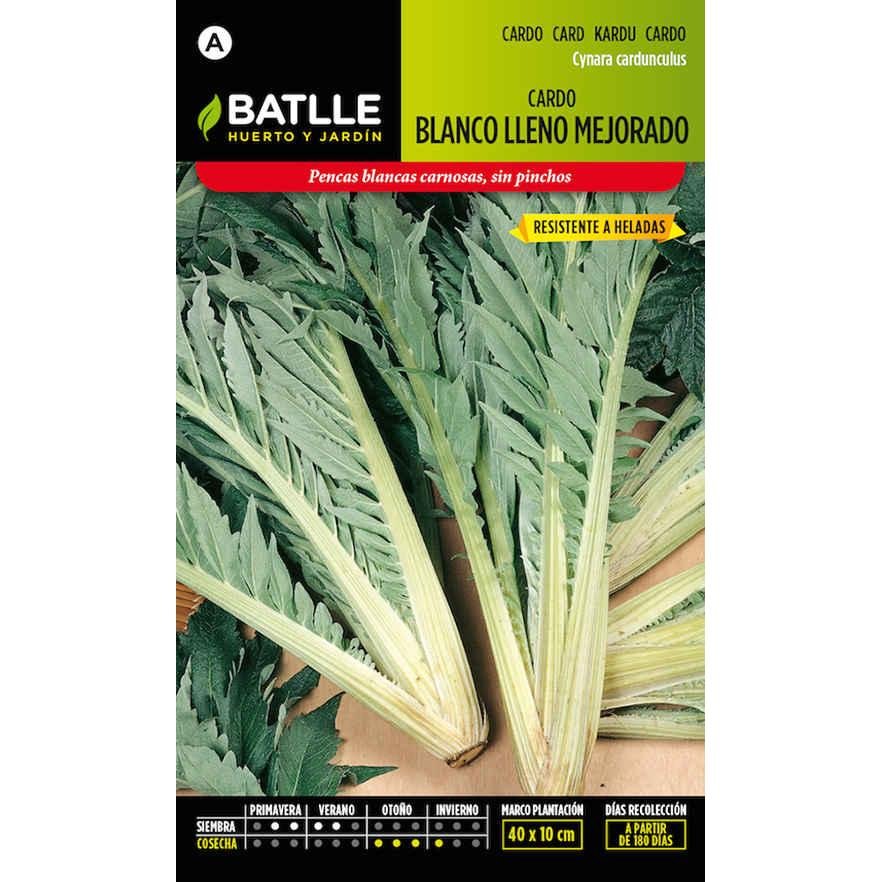 CARDO BLANCO LLENO MEJORADO 
