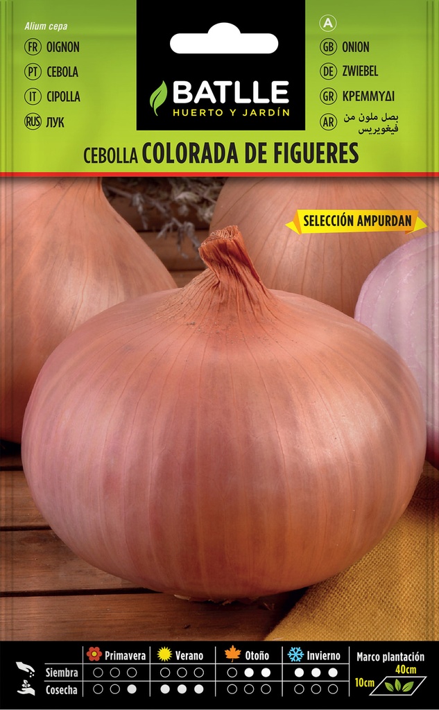 CEBOLLA COLORADA DE FIGUERES 