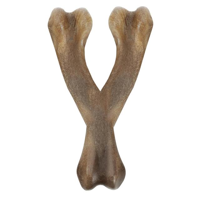 HUESO NOSH STRONG WHISHBONE M