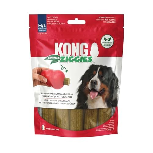 KONG ZIGGIES ENHANCED M/L 1 UND