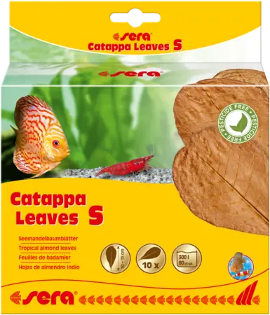 SERA CATAPPA LEAVES S