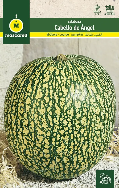 CALABAZA CABELLO DE ANGEL