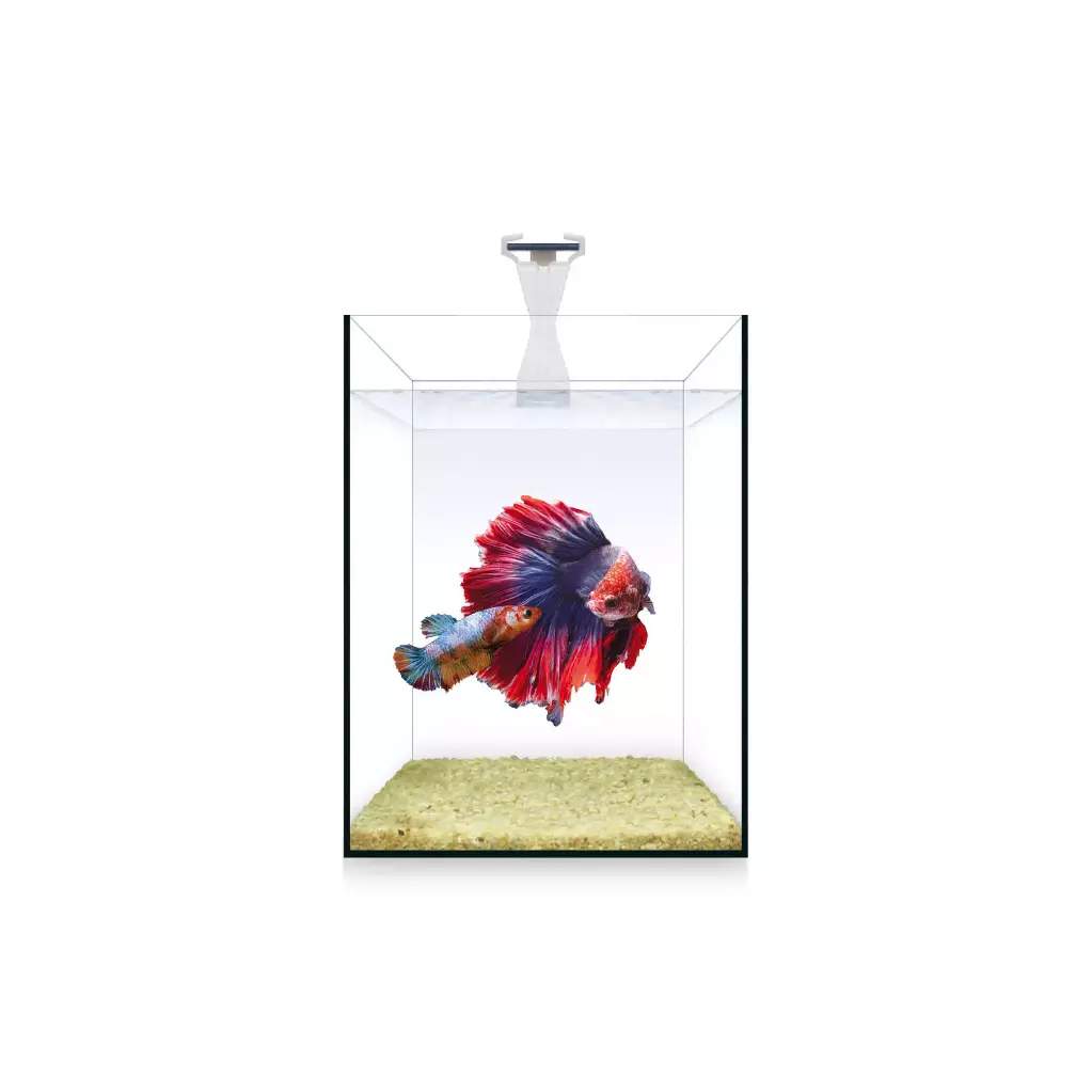 KIT NANO NATURE 4 L