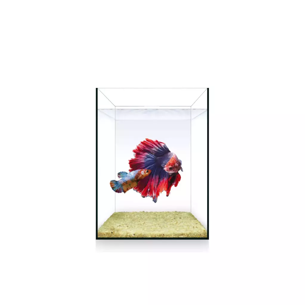 URNA NANO NATURE 4 L