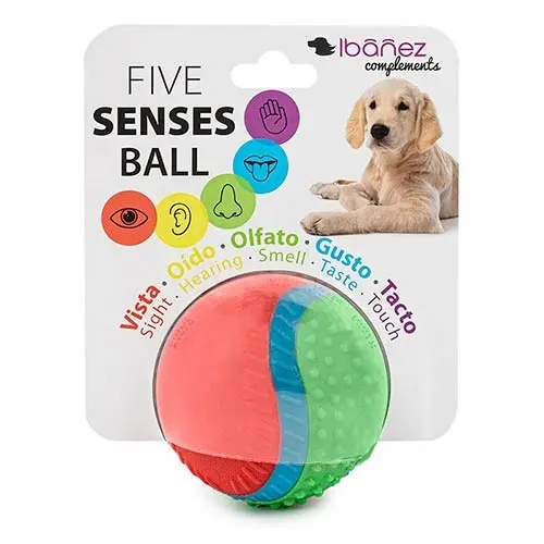 PELOTA 5 SENTIDOS