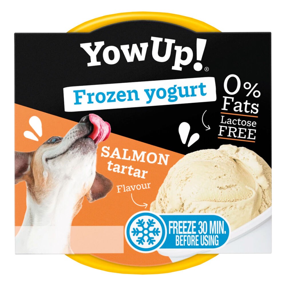 YOGURT SABOR SALMON 