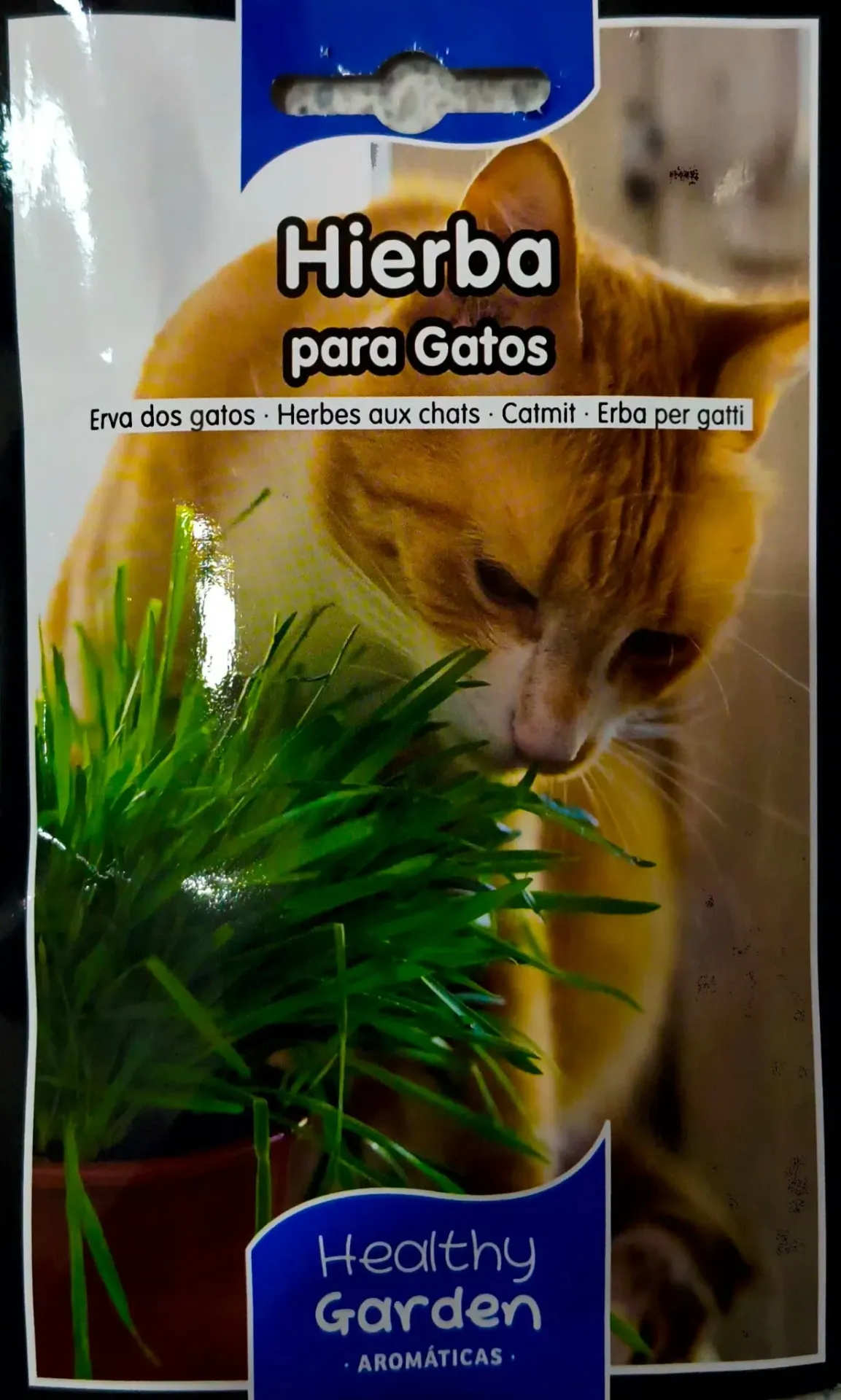 HIERBA PARA GATOS