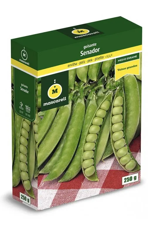 GUISANTE SENADOR 250 GRS