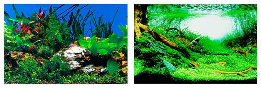 FONDO ACUARIO DOBLE CARA 