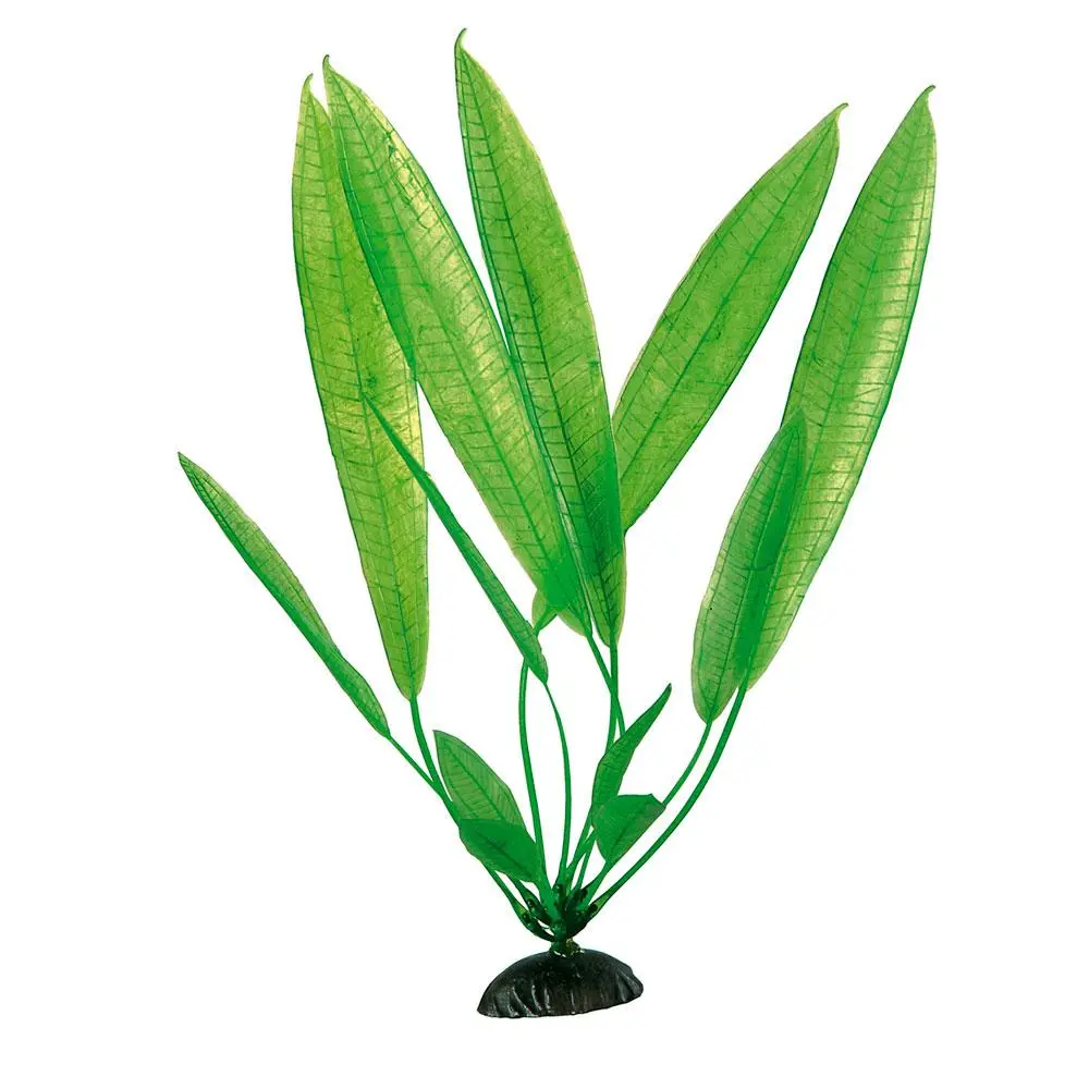 PLANTA PLASTICO 