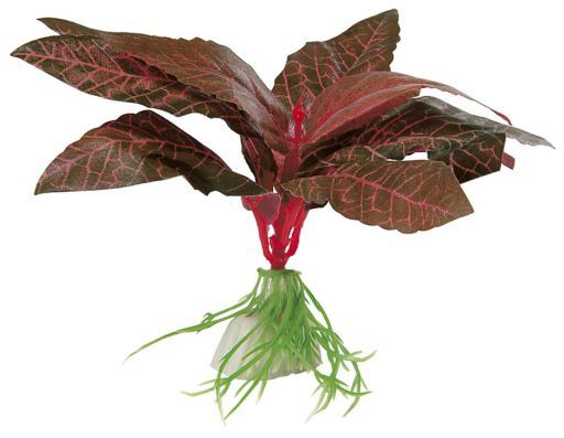 PLANTA DE SEDA