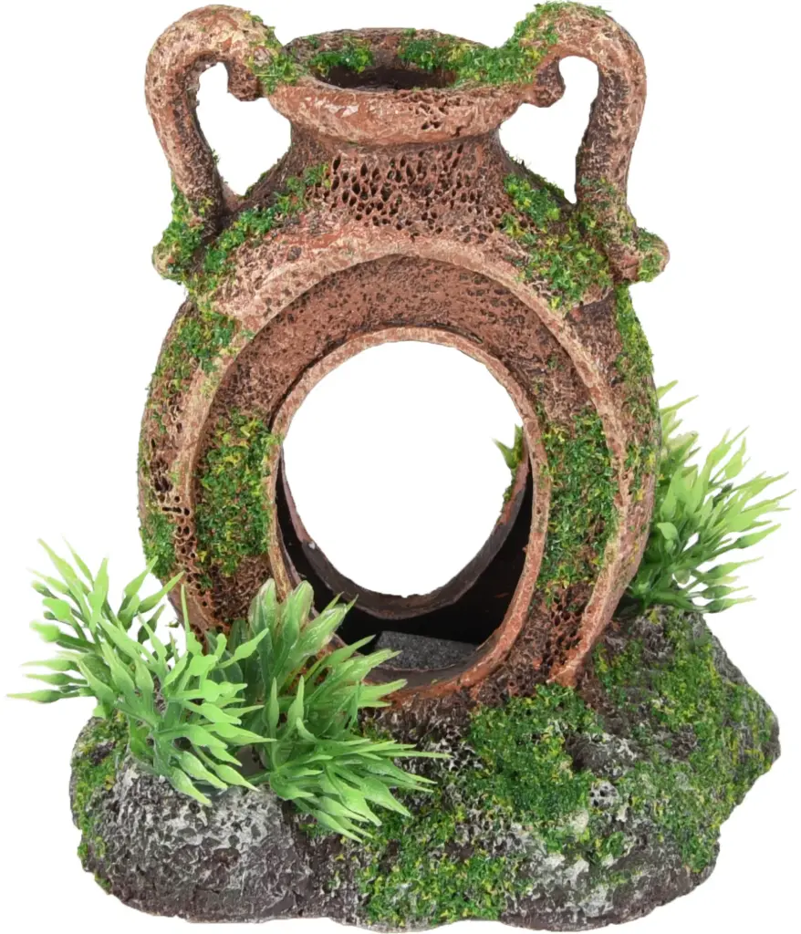 VASIJA CON AGUJEROS Y PLANTA