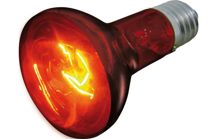 BOMBILLA INFRARROJO 50 W