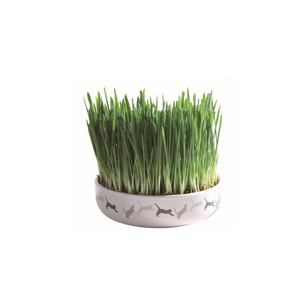 COMEDERO CERAMICA CON HIERBA GATERA