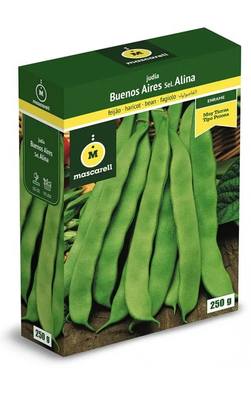 JUDIA PLANA BUENOS AIRES 250 GRS