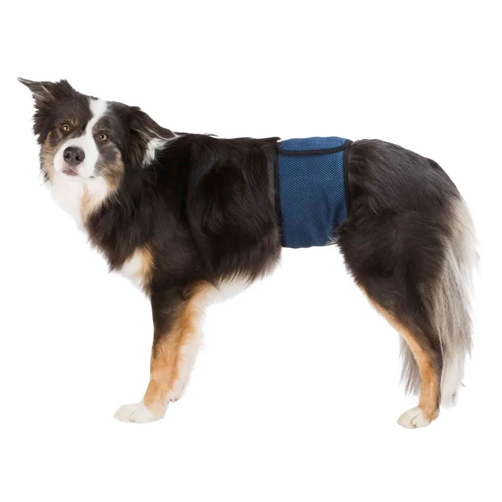 BANDA ABDOMEN PERRO MACHO M