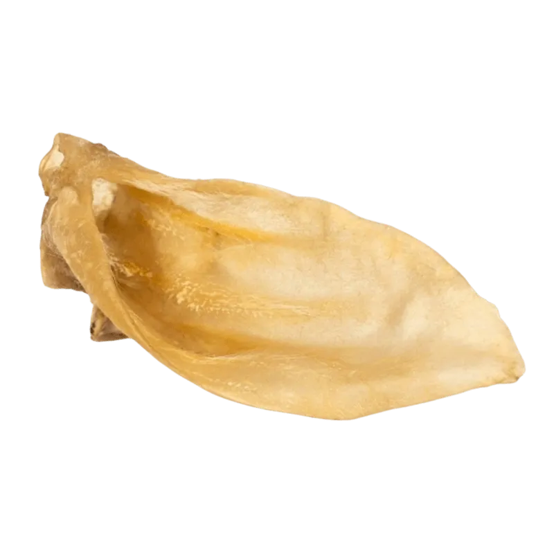 OREJA DE CORDERO