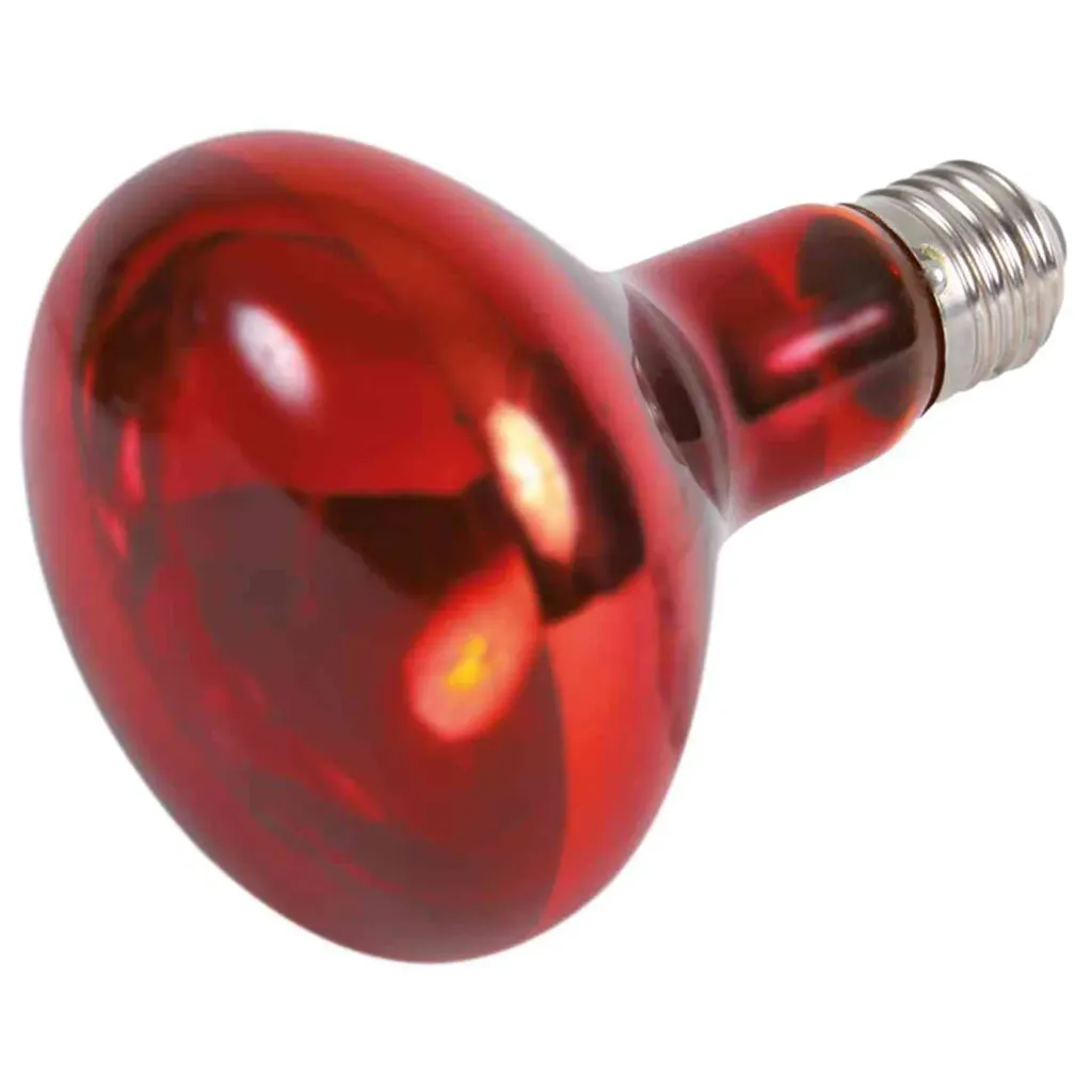 LAMPARA CALEFACTORA INFRARROJO 75W