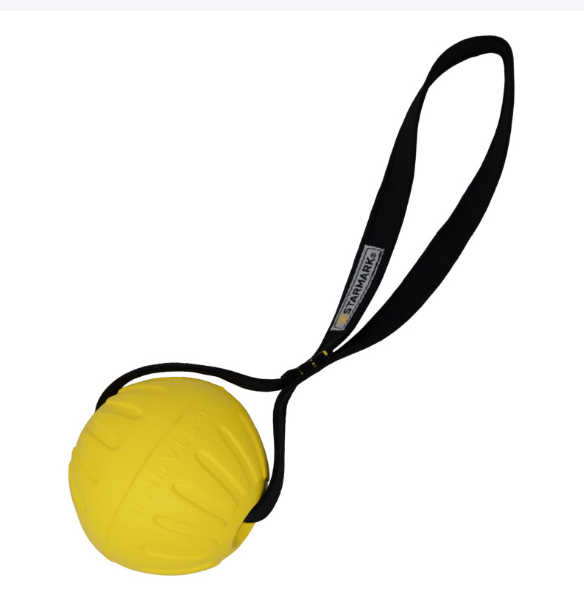 PELOTA CON ASA ENGOMADA GRANDE
