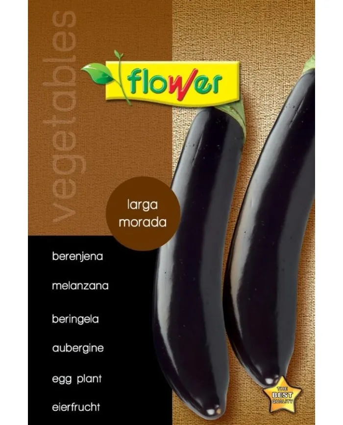 BERENJENA LARGA MORADA