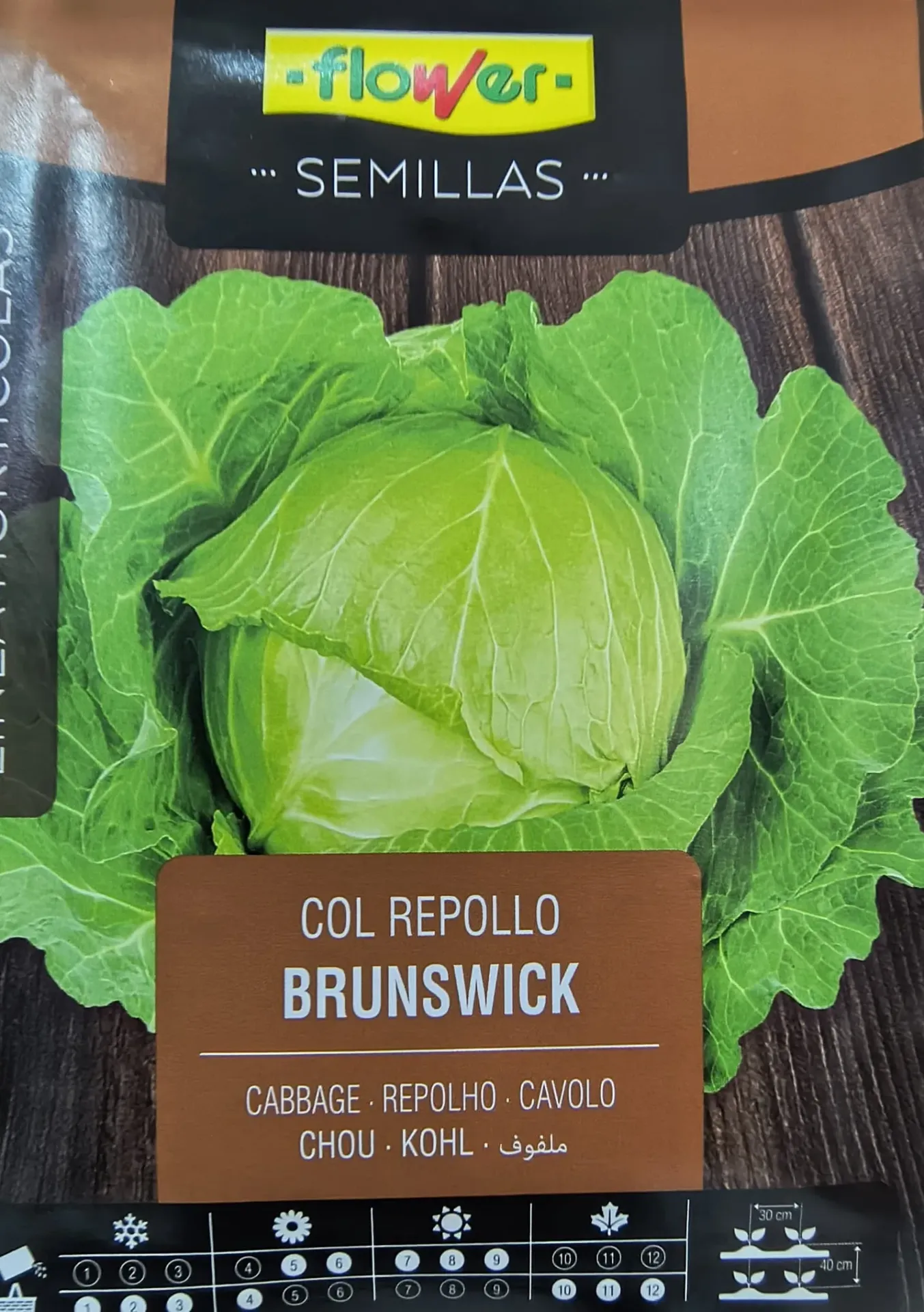 COL REPOLLO BRUNSWICK