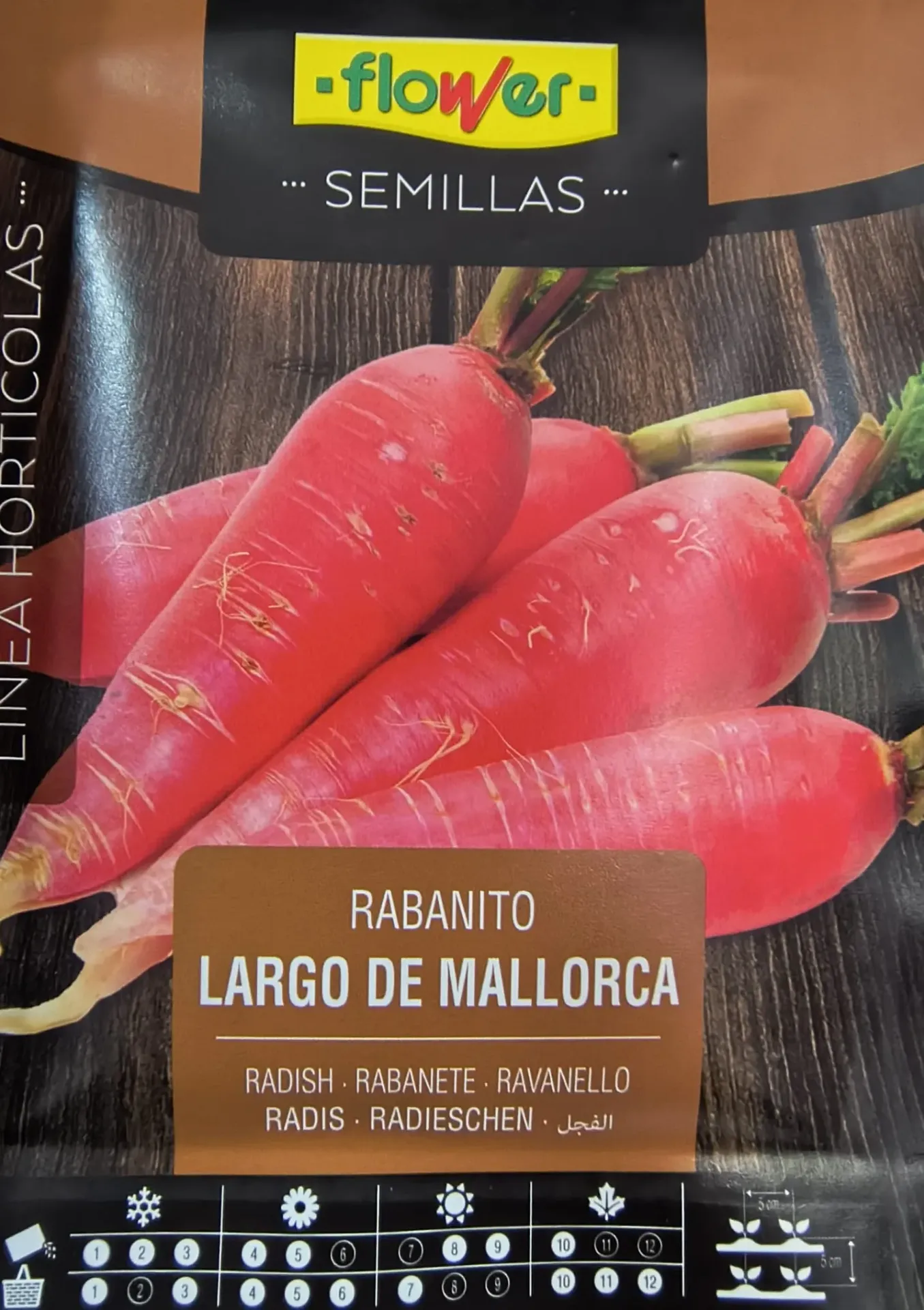 RABANITO LARGO DE MALLORCA