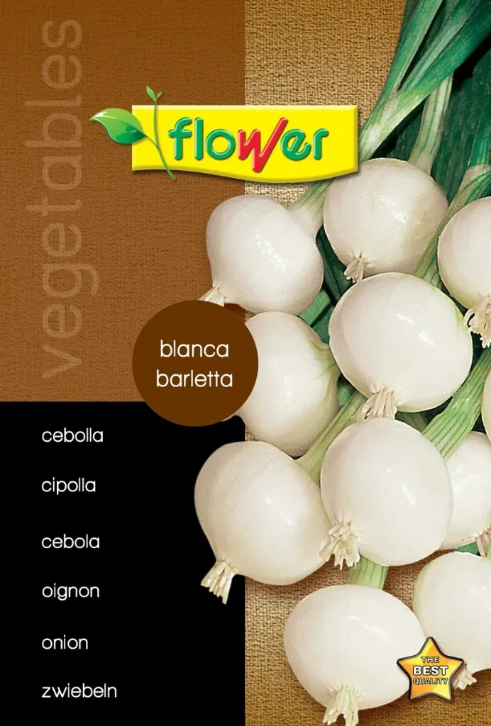 CEBOLLA BLANCA BARLETTA