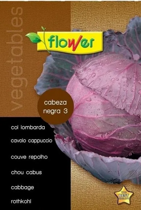 COL LOMBARDA CABEZA NEGRA 3