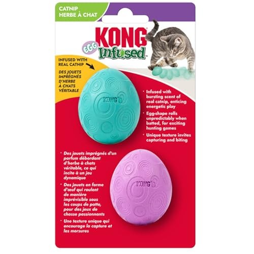 KONG INFUSED EGG