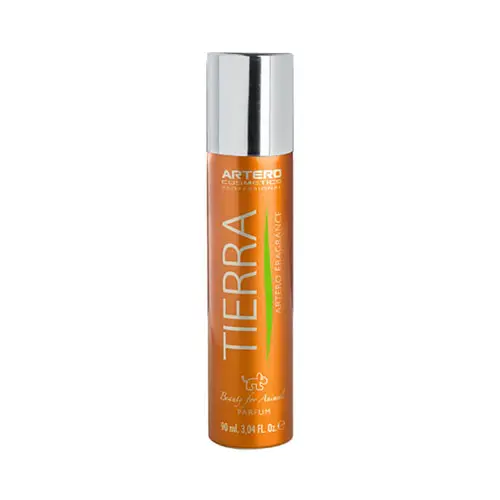 PERFUME TIERRA 90 ML