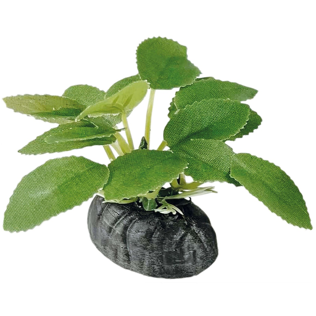 PLANTA SEDA LOBELIA