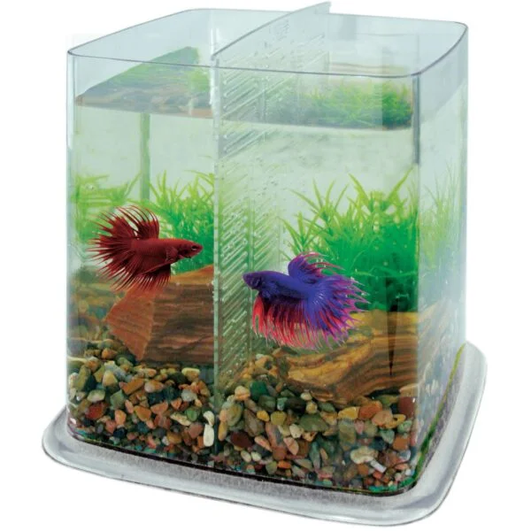 BETTA BATTLE PARADISE 6.4 L
