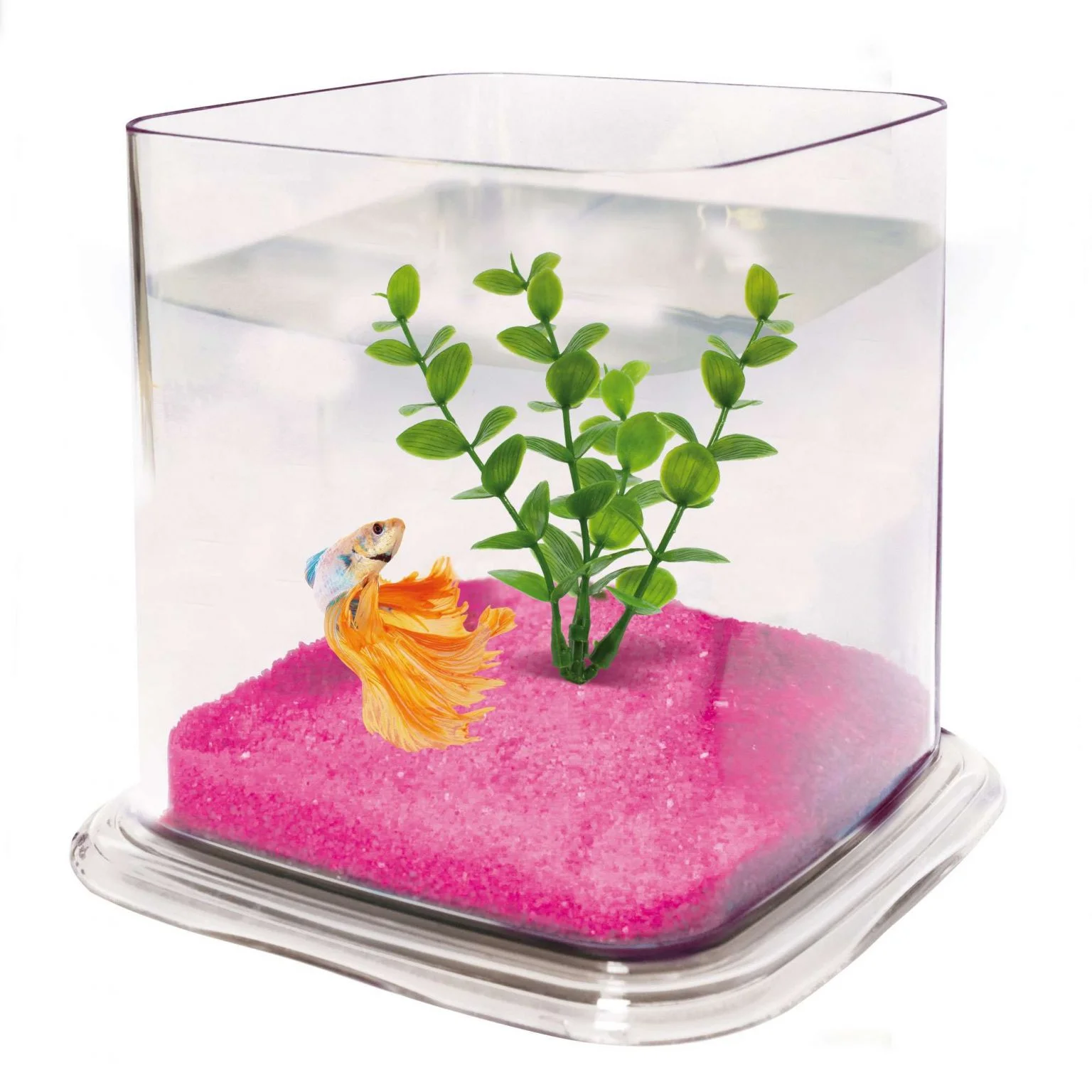 BETTA PARADISE 1.9 L