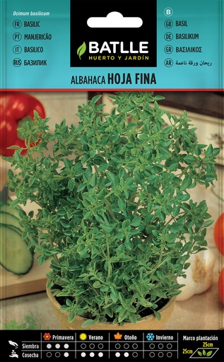 ALBAHACA HOJA FINA