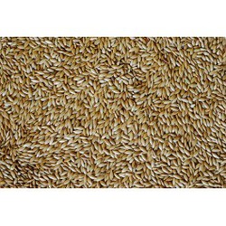 ALPISTE EMPAQUETADO 1 KG