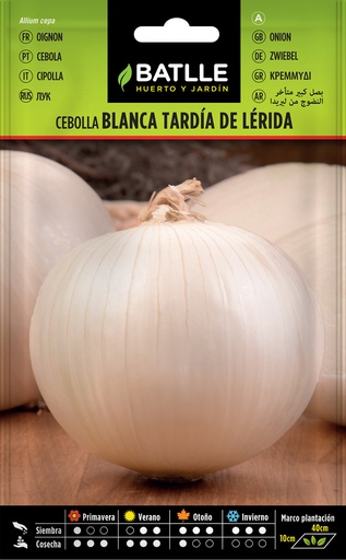 CEBOLLA GRANDE TARDIA DE LERIDA