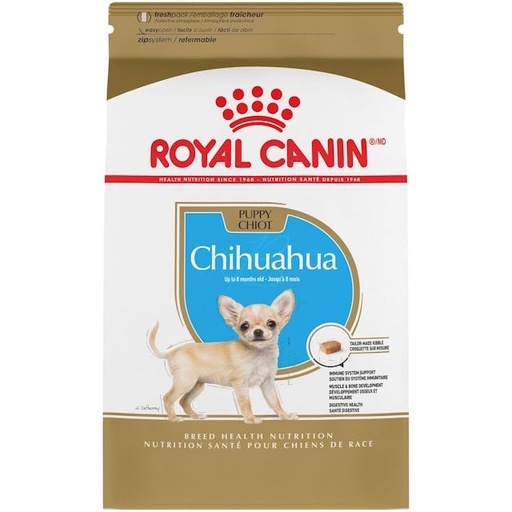 CHIHUAHUA JUNIOR 1,5 KGRS