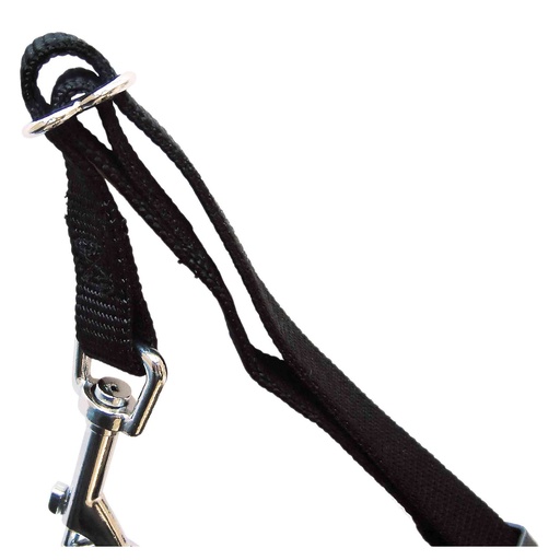 CINTURON SEGURIDAD PARA PERROS TALLA S