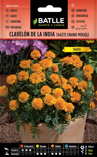 CLAVELON DE LA INDIA MOUGLI