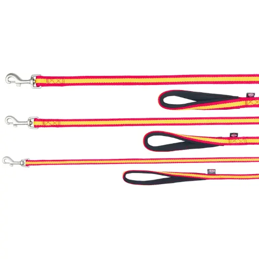 CORREA DOBLE XS ESPAÑA