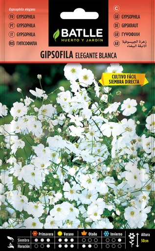 GIPSOFILA ELEGANTE BLANCA