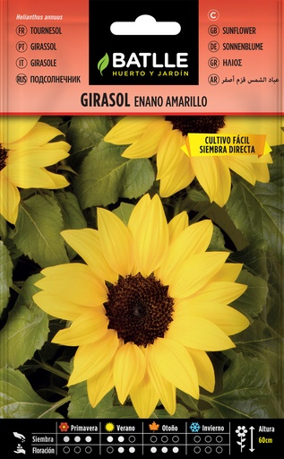 GIRASOL ENANO AMARILLO