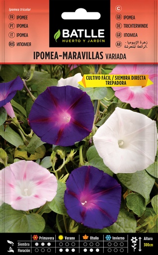 IPOMEA-MARAVILLAS (TREPADORA, VARIADA)