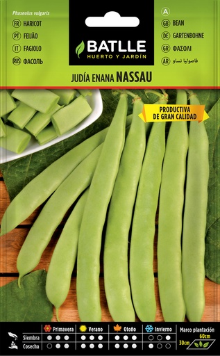 JUDIA NASSAU 100 GR