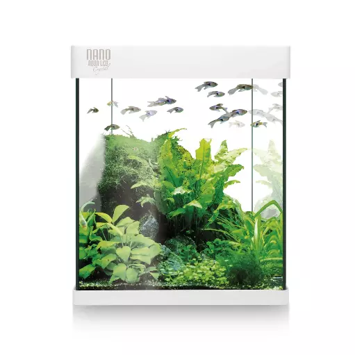 KIT NANO ACUALED 10L
