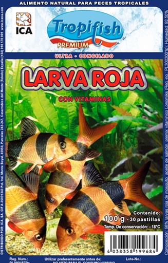LARVA ROJO BLISTER 100 GRS