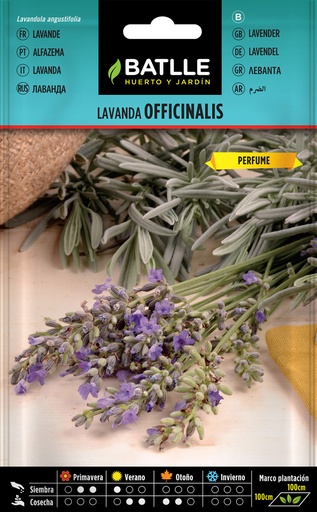 LAVANDA OFFICINALIS