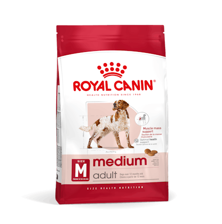 MEDIUM ADULT 4 KGRS