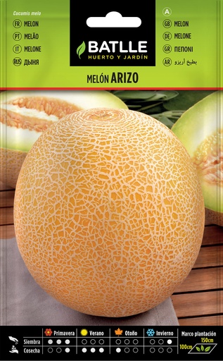 MELON ARIZO